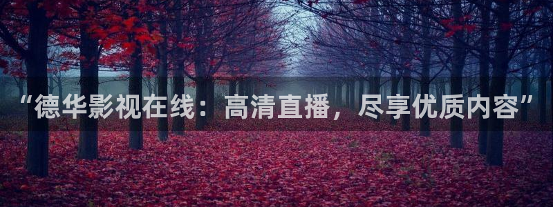 韩国成人伦理影院