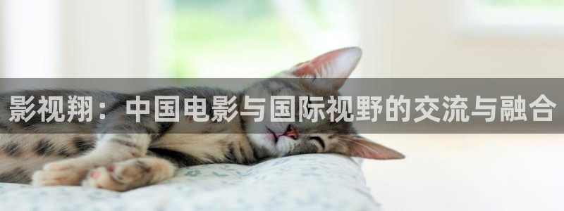 神马我不卡伦理影院