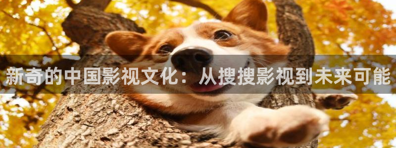 日本伦理视频观看：新奇的中国影视文化：从搜搜影视到未来可能