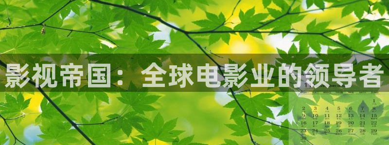 光棍伦理影视：影视帝国：全球电影业的领导者