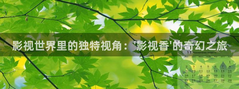 日本伦理视频在线观看