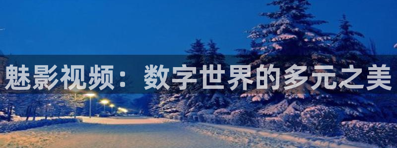 朝鲜伦理影院：魅影视频：数字世界的多元之美