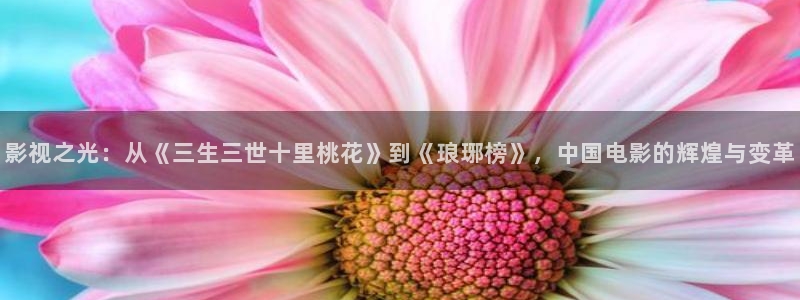 伦理影视网