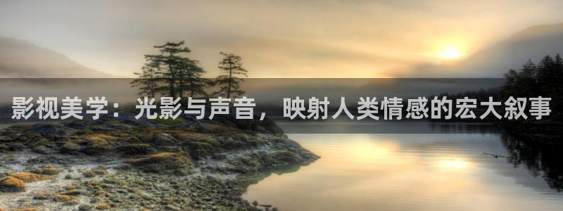 国产伦理视频网站