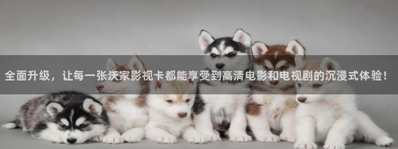 国产伦理视频大全：全面升级，让每一张沃家影视卡都能享受到高清电影和电视剧的沉浸式体验！