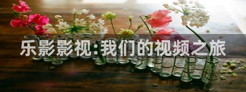 国产伦理视频网址：乐影影视:我们的视频之旅
