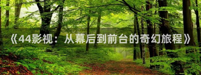 八戒私人伦理影院：《44影视：从幕后到前台的奇幻旅程》
