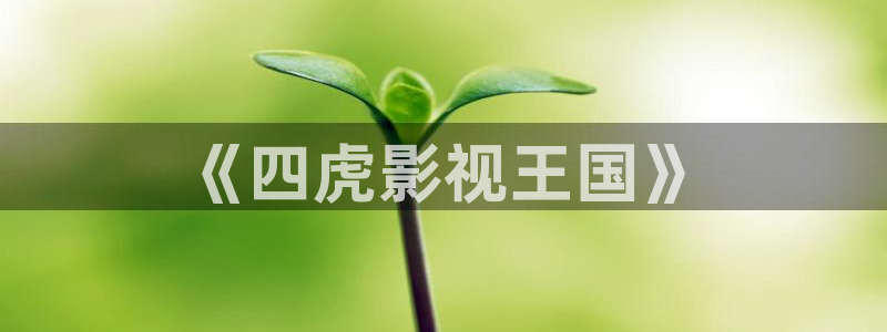 东南亚伦理影院：《四虎影视王国》